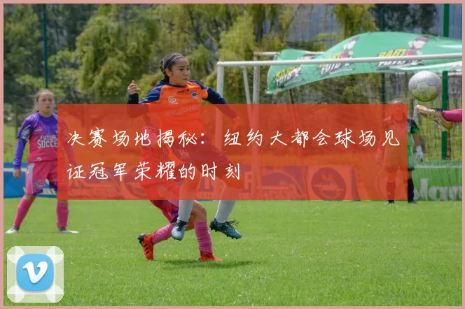 决赛场地揭秘：纽约大都会球场见证冠军荣耀的时刻