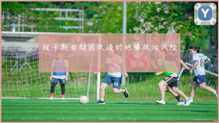 纽卡斯尔财团改造的地缘政治风险