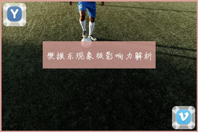 樊振东现象级影响力解析