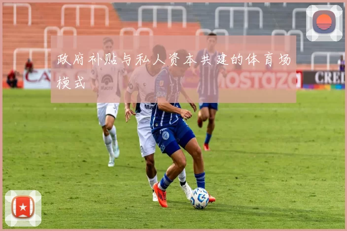 政府补贴与私人资本共建的体育场模式