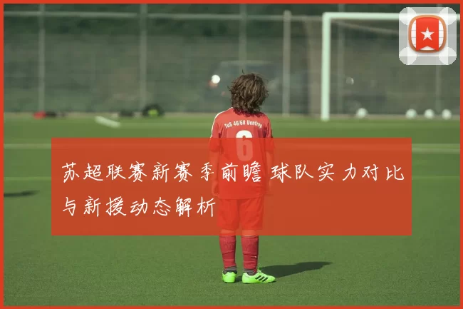 苏超联赛新赛季前瞻 球队实力对比与新援动态解析