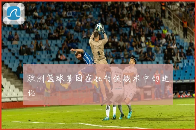 欧洲篮球基因在独行侠战术中的进化