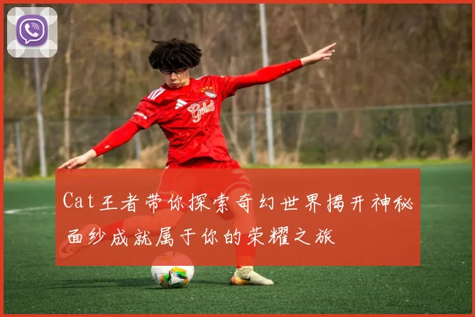 Cat王者带你探索奇幻世界揭开神秘面纱成就属于你的荣耀之旅